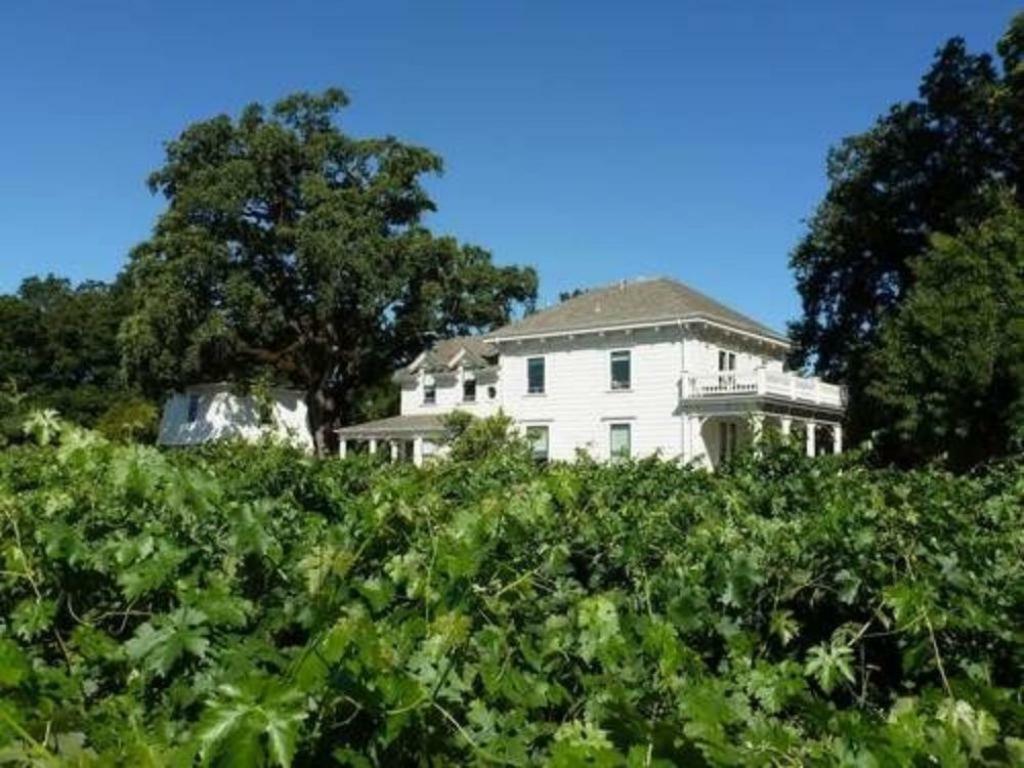Inn At Salvestrin St. Helena Εξωτερικό φωτογραφία